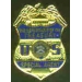 UNITED STATES DEPARTMENT OF THE TREASURY SPECIAL AGENT BADGE PIN